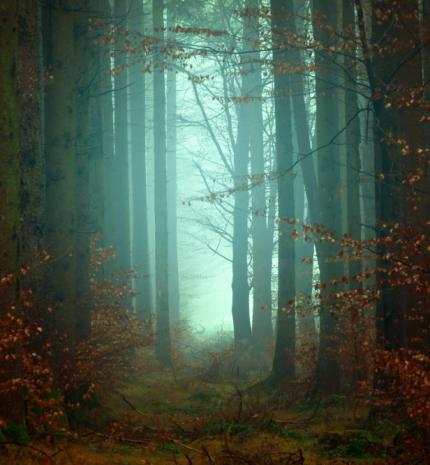 Mit jelenthetnek a rémálmaink?