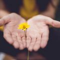 'A pszichés trauma nem elfelejthető, nem kitörölhető és nem tehető semmissé.' - Mit jelent az örökölt sors?