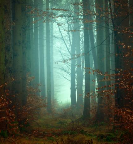 Nyomasztó, de tudni akarjuk - mit jelentenek rémálmaink?