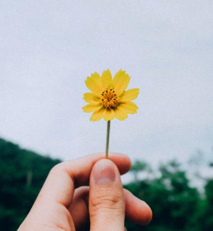 Módszerek, melyek segítenek felfedezni az örömöt a szürke mindennapokban