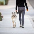 Egészség - 3 ok, amiért az étkezési utáni séta sokkal fontosabb, mint gondolnád