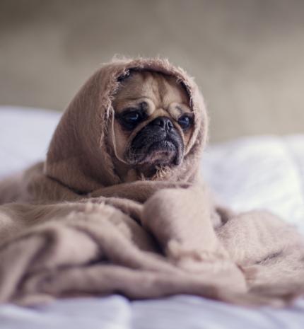 4 dolog, amit a szorongás mondat veled