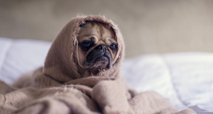 4 dolog, amit a szorongás mondat veled