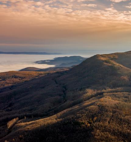 Anti-Black Friday:Szabó Győző és Döbrösi Laura is beszállt a túlfogyasztás elleni mozgalomba