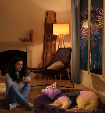 Szilveszter: Ha nem pánikol a kedvencünk, még nem jelenti, hogy nem fél