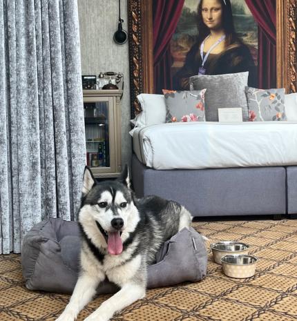 Kutyával Valentin-napon: Top 5 randihelyszín, ahova kedvenced is elkísérhet