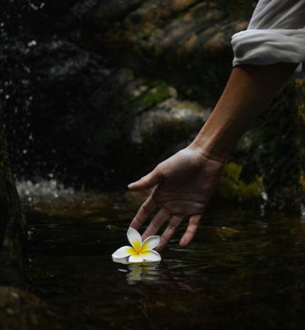 Kapcsolatok kihívásai és gyógyulása a tavasz közeledtével