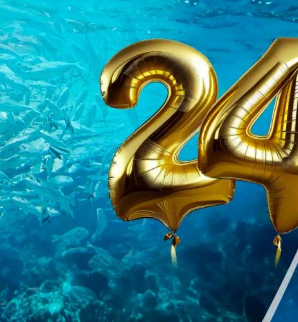 24 éves a Tropicarium - Kezdetek