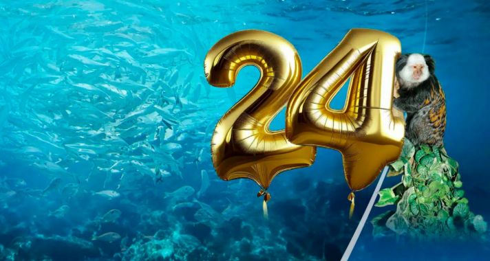 24 éves a Tropicarium - Kezdetek