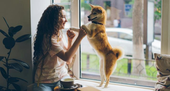 Gyógyítható-e a bizalmatlanság?