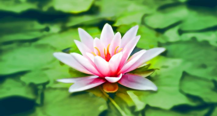 Önmegerősítő gondolatok, amikor minden kilátástalannak tűnik