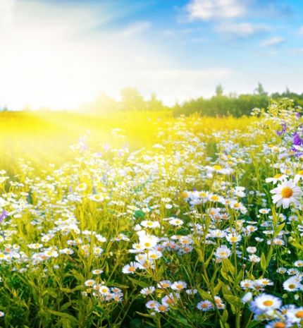 Tavaszi feltöltődés – kezdd apró lépésekkel a megújulást!