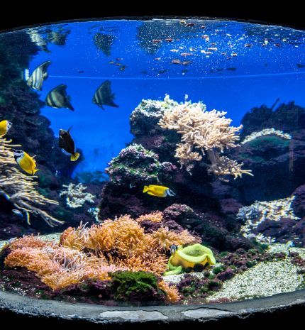 Tropicárium Magyarország különleges állatkertje