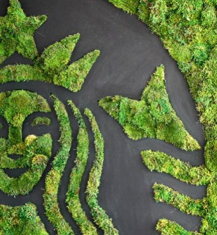 Föld napja: Így formálhatja a világot jobbá egyetlen csésze kávé!