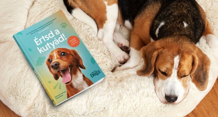 Határok nélkül nincs boldog  EB és GAZDI sem