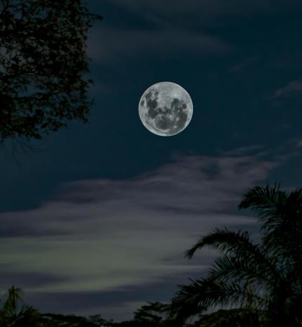 Mi történik a héten? 2025.10.06-12.