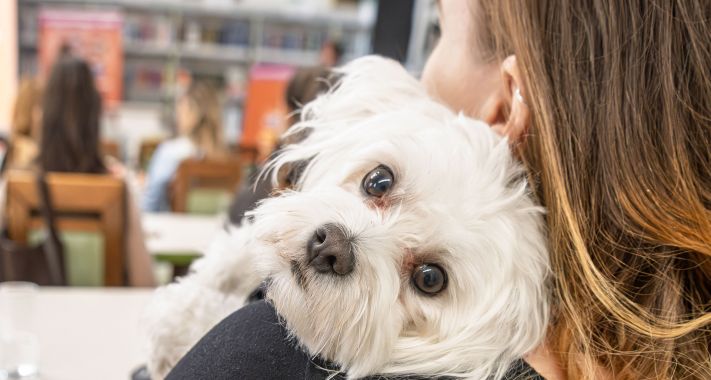 Tudatos gondoskodás négylábú családtagjainkért