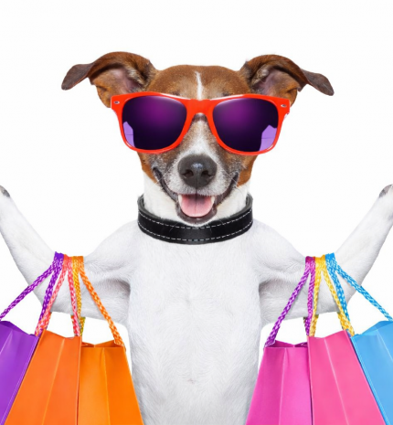 Kutyával a plázában – hol lehet, hol nem, és mit érdemes tudni