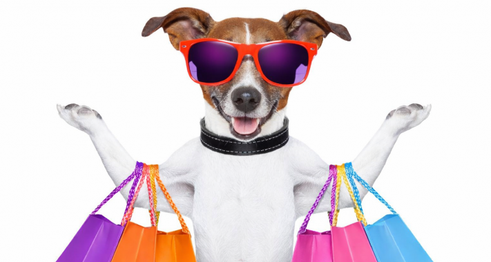 Kutyával a plázában – hol lehet, hol nem, és mit érdemes tudni