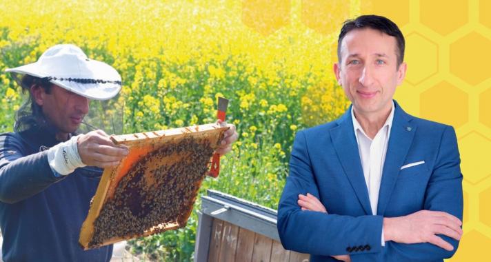 A méhméreg valóban természetes csodaszer, de ne dőljünk be a félrevezető ígéreteknek