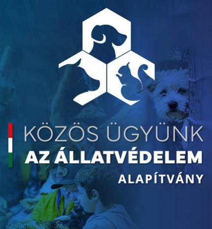 Aktuális - Kutyák a börtönben – második esély a rácsok mögött és azon is túl