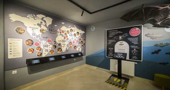 Különleges programok a föld alatt – Március a barlangok hónapja