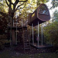 Luxus a fa tetején? - , divat, életmód, stílus