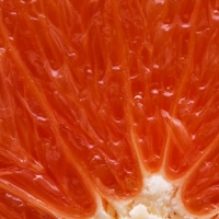 X Faktor helyett P Faktor - Stílus, divat, életmód, stílus