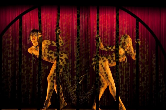 Nálunk is megőrült a párizsi ló