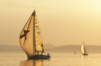 A nyár legjobb hajós tippjei - Stílusiskola, divat, életmód, stílus