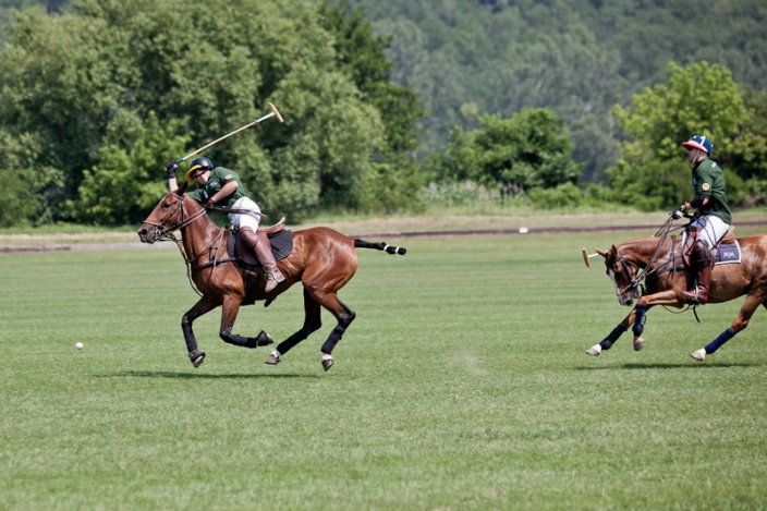 Célba lovagolt a jaguár