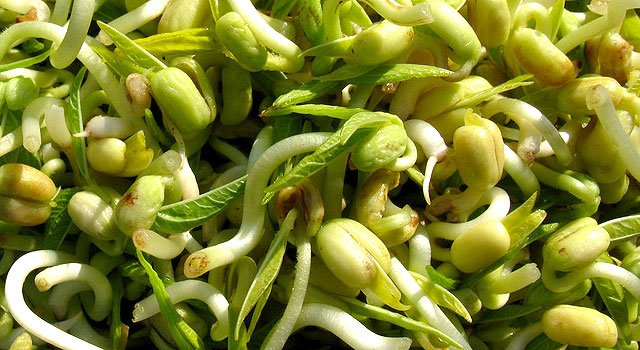 Három egyszerű recept a rák ellen