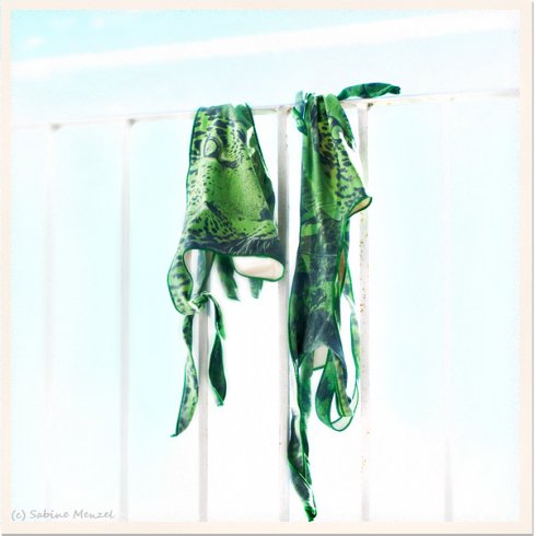 Bikinire vetkőzik ma a Fradi a Gellértben!