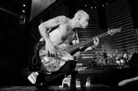 Red Hot Chili Peppers koncertbeszámoló - Stylelife, divat, életmód, stílus