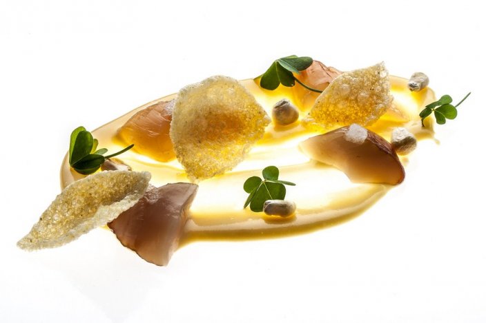 Egy csésze presszókagyló rendel