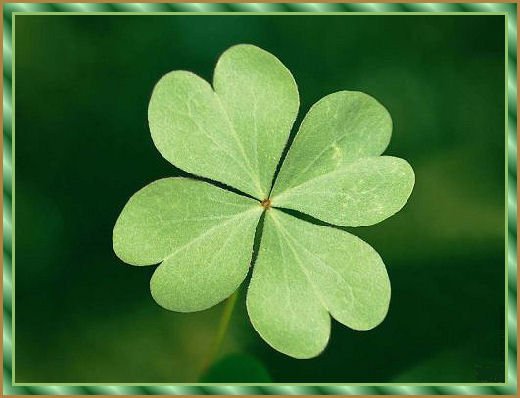 Mihez kezdene egy lottóötössel?