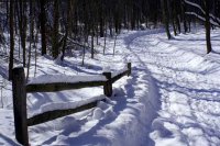 Irány sétálni! - Sikertippek, divat, életmód, stílus