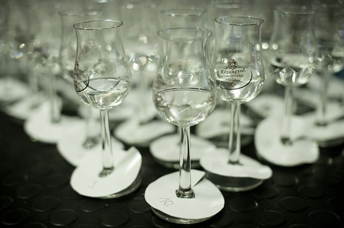 Készül az év pálinkája