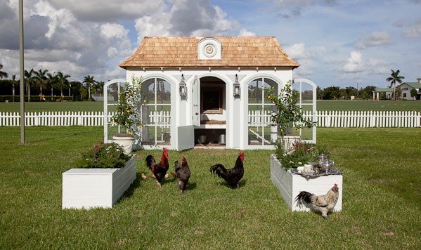 Luxust a kisállatoknak