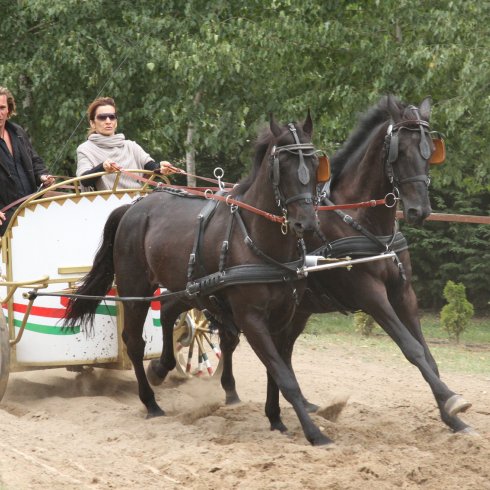 Keresztes Ildikó megtalálta új szerelmét
