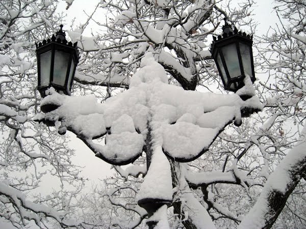 Sok hó, nagyon sok hó