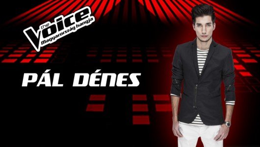Pál Dénes lett Magyarország hangja! Mi a titok?