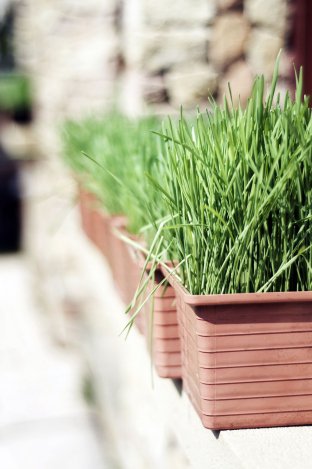 Karcsúsodj Valentin-napra!