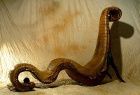 Bútorok a pokolból - Otthon & Design, divat, életmód, stílus