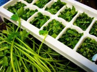 Isten patikája előtted hever - Keresd a nőt!, divat, életmód, stílus