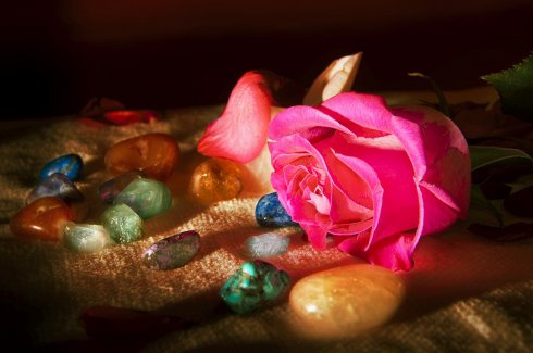 Vénuszi Rózsa masszázs, Nőnapra Szeretettel!