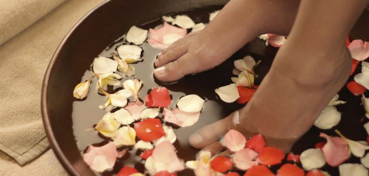 A szervezet nagytakarítása