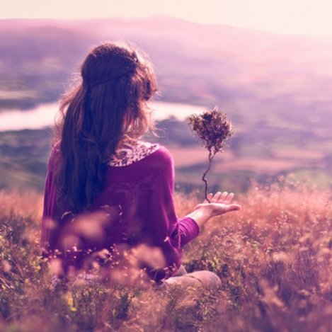 Kóbor szívek fája