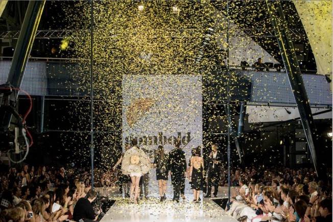 Pulikutya a kifutón