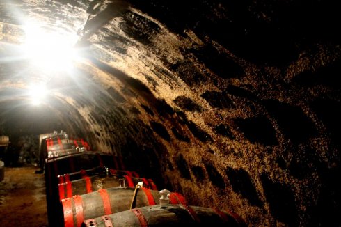 Borvilágos éjszaka